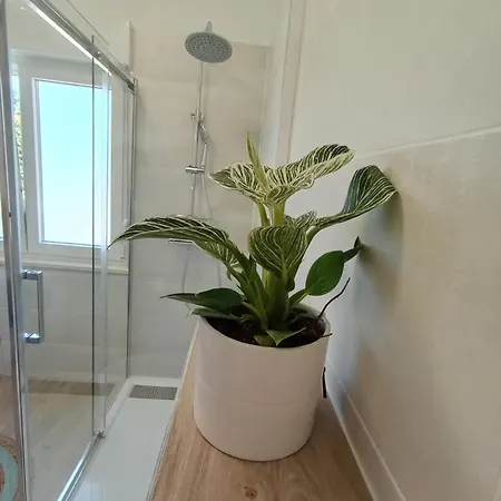 Novi Prostrani U Strogom Centru Pule * Pola