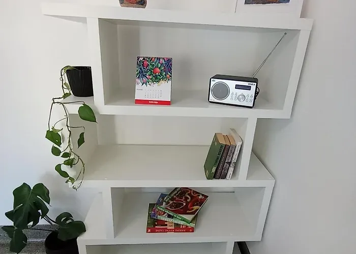 Novi Prostrani U Strogom Centru Pule